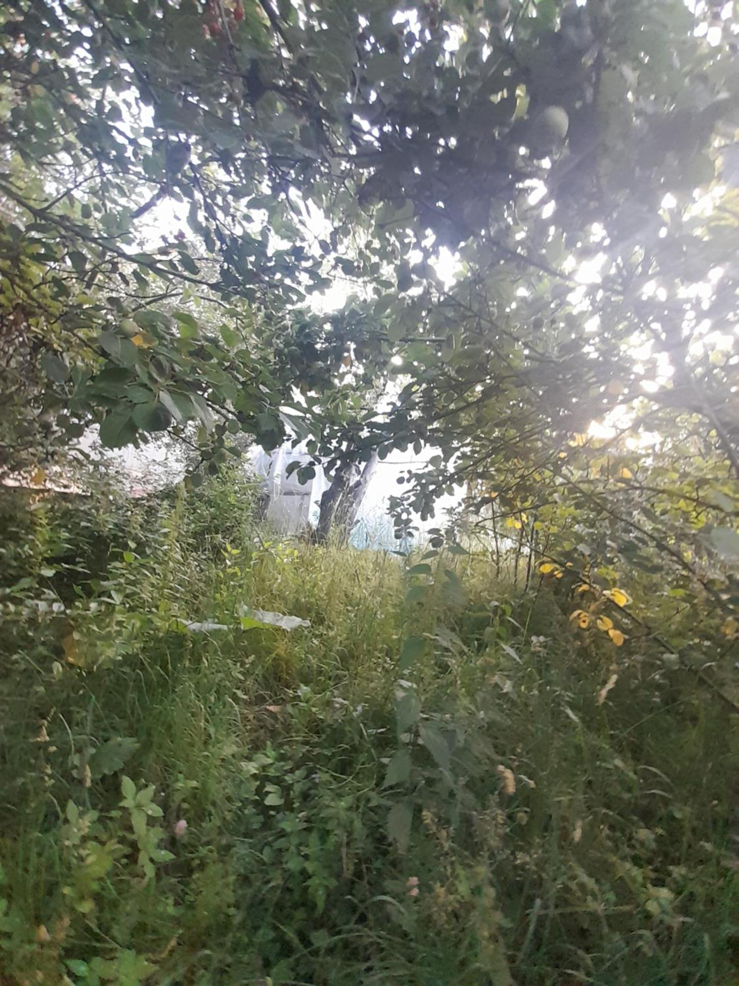 Waterfall In The Yard Karakol Exterior photo